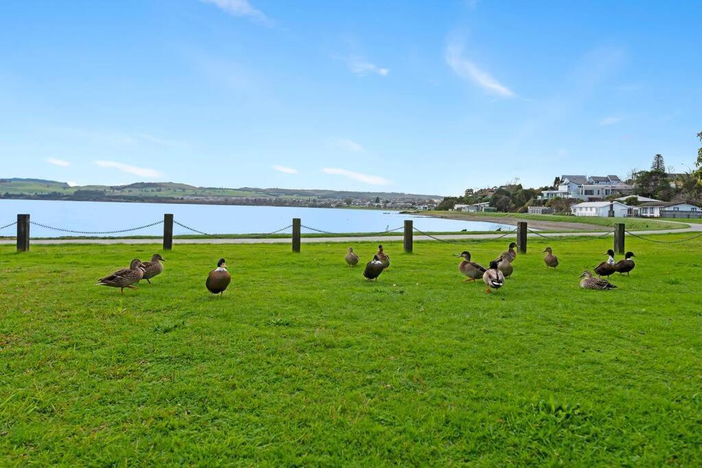 Waimahana - Luxury By The Lake Taupomeer Buitenkant foto